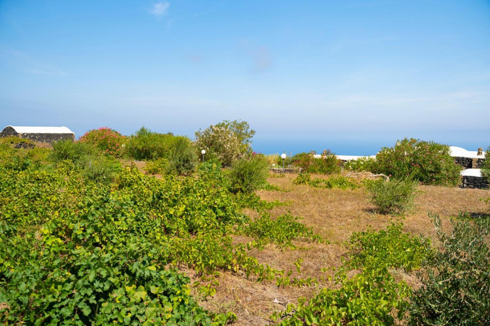 Casa Unifamiliare A Sicilia Villa Kamma ภายนอก รูปภาพ